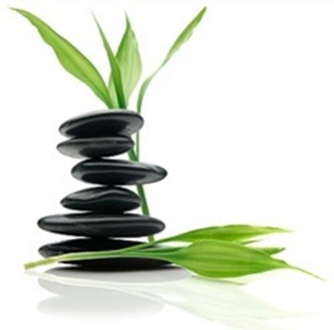 netMD - Green IT Solutions